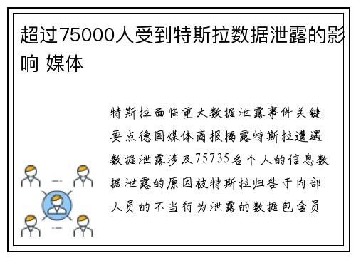 超过75000人受到特斯拉数据泄露的影响 媒体